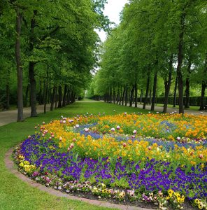 Der Schlossgarten - der Schlosspark heisst bei uns Hofgarten | Ansbach