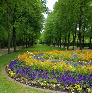 Hofgarten Ansbach Der Schlossgarten - der Schlosspark heisst bei uns Hofgarten | Ansbach